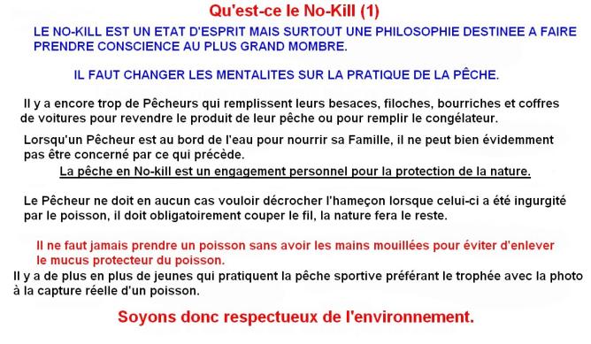 QU'EST-CE QUE LE NO KILL (1)