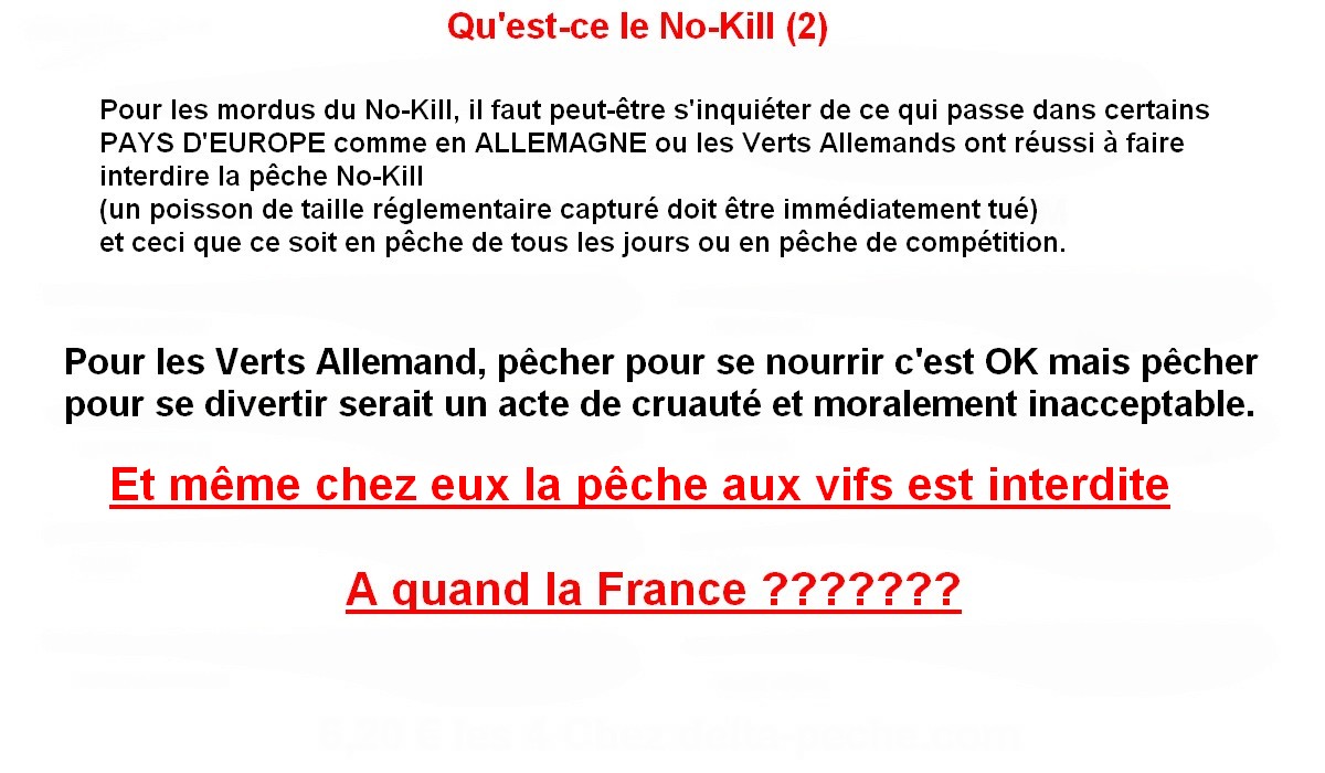 QU'EST-CE QUE LE NO KILL (2)