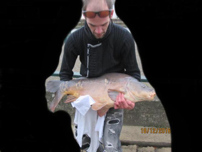 Carpe Harponée
