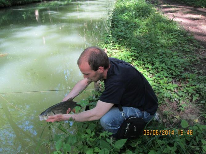 6 JUIN 2014 (4) CANAL