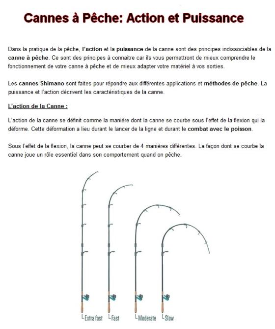 Action et Puissance (1)