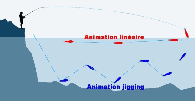 ANIMATION