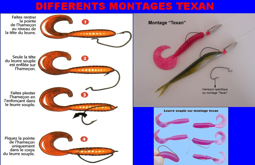 Différents montages texan
