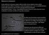 HAMECONS ET ARMEMENTS
