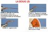 LA BOUIC (5)