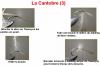 La Cantobre (3)