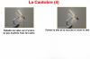 La Cantobre (4)