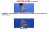La Lulu (5)