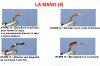 LA MANO (5)