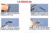 LA MANO (6)