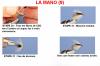 LA MANO (9)