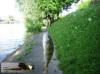 lagny-sur-marne-29-juillet-2012