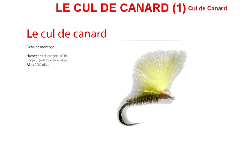 Le Cul De Canard