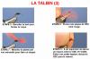 Le Talbin (3)