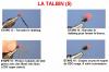 Le Talbin (5)