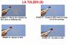 Le Talbin (6)