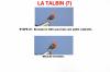 Le Talbin (7)