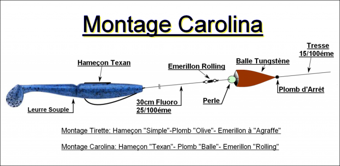 montage-carolina-copie-3