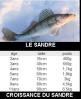 Sandre
